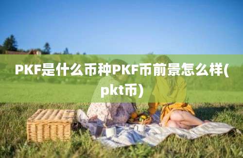 PKF是什么币种PKF币前景怎么样(pkt币)