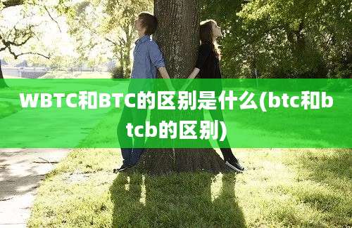 WBTC和BTC的区别是什么(btc和btcb的区别)