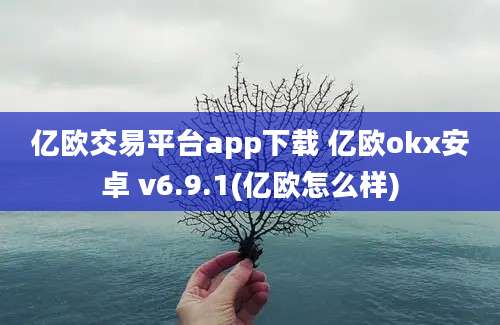 亿欧交易平台app下载 亿欧okx安卓 v6.9.1(亿欧怎么样)