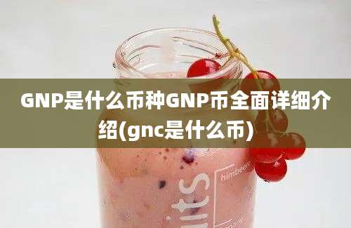 GNP是什么币种GNP币全面详细介绍(gnc是什么币)