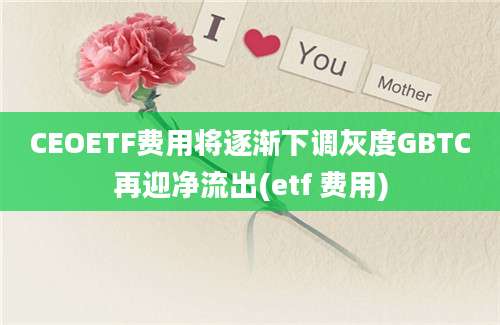 CEOETF费用将逐渐下调灰度GBTC再迎净流出(etf 费用)