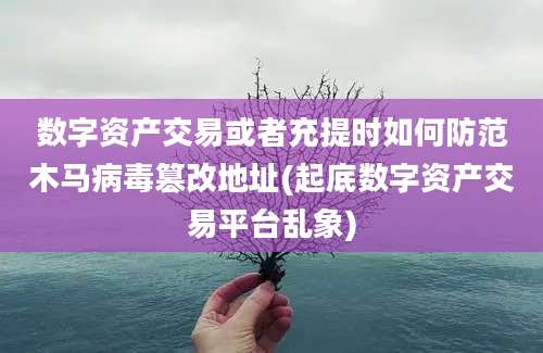 数字资产交易或者充提时如何防范木马病毒篡改地址(起底数字资产交易平台乱象)