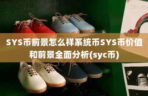 SYS币前景怎么样系统币SYS币价值和前景全面分析(syc币)