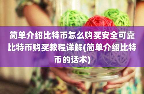 简单介绍比特币怎么购买安全可靠比特币购买教程详解(简单介绍比特币的话术)