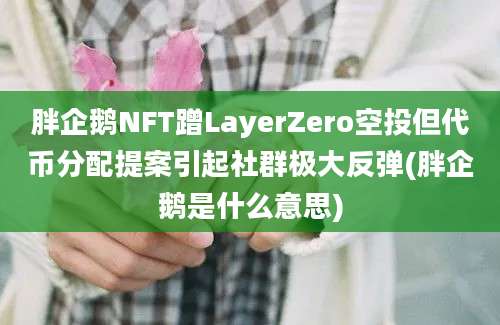 胖企鹅NFT蹭LayerZero空投但代币分配提案引起社群极大反弹(胖企鹅是什么意思)