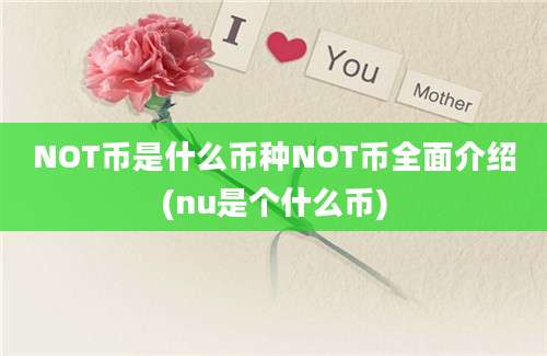 NOT币是什么币种NOT币全面介绍(nu是个什么币)