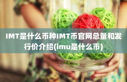 IMT是什么币种IMT币官网总量和发行价介绍(imu是什么币)