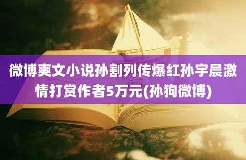 微博爽文小说孙割列传爆红孙宇晨激情打赏作者5万元(孙狗微博)