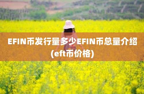 EFIN币发行量多少EFIN币总量介绍(eft币价格)