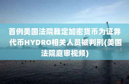 首例美国法院裁定加密货币为证券 代币HYDRO相关人员被判刑(美国法院庭审视频)