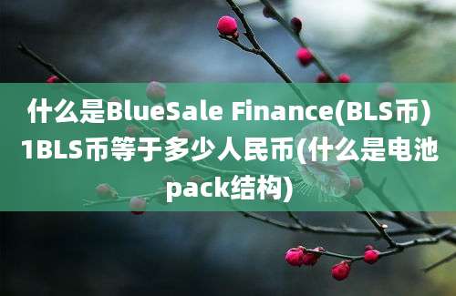 什么是BlueSale Finance(BLS币)1BLS币等于多少人民币(什么是电池pack结构)