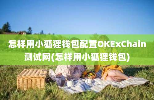 怎样用小狐狸钱包配置OKExChain测试网(怎样用小狐狸钱包)