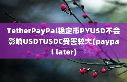 TetherPayPal稳定币PYUSD不会影响USDTUSDC受害较大(paypal later)