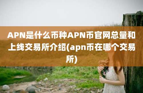 APN是什么币种APN币官网总量和上线交易所介绍(apn币在哪个交易所)