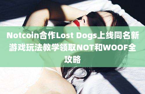 Notcoin合作Lost Dogs上线同名新游戏玩法教学领取NOT和WOOF全攻略