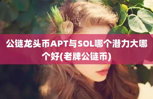 公链龙头币APT与SOL哪个潜力大哪个好(老牌公链币)