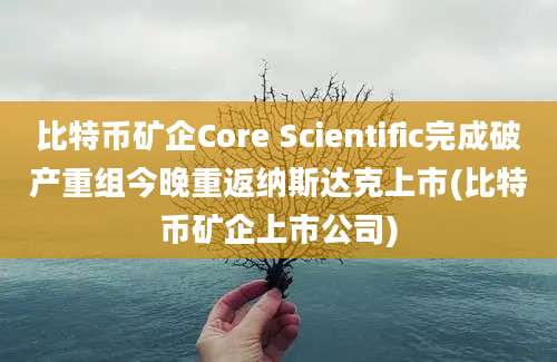 比特币矿企Core Scientific完成破产重组今晚重返纳斯达克上市(比特币矿企上市公司)