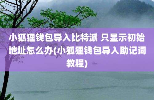 小狐狸钱包导入比特派 只显示初始地址怎么办(小狐狸钱包导入助记词教程)