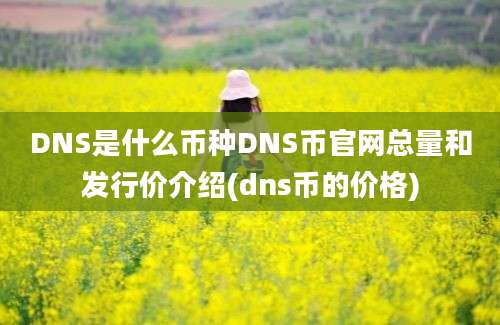 DNS是什么币种DNS币官网总量和发行价介绍(dns币的价格)