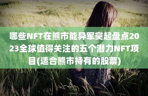 哪些NFT在熊市能异军突起盘点2023全球值得关注的五个潜力NFT项目(适合熊市持有的股票)