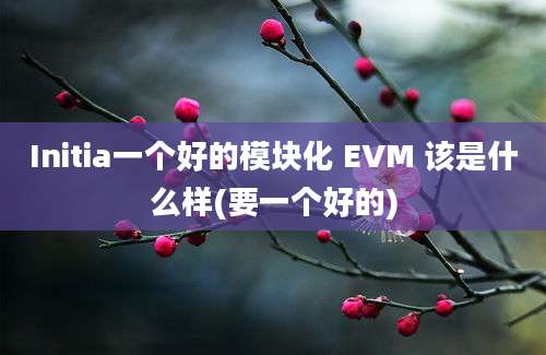 Initia一个好的模块化 EVM 该是什么样(要一个好的)