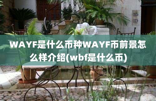 WAYF是什么币种WAYF币前景怎么样介绍(wbf是什么币)