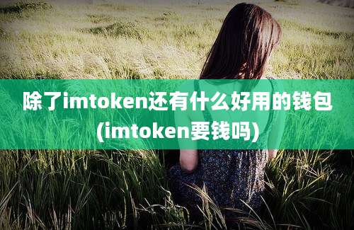 除了imtoken还有什么好用的钱包(imtoken要钱吗)