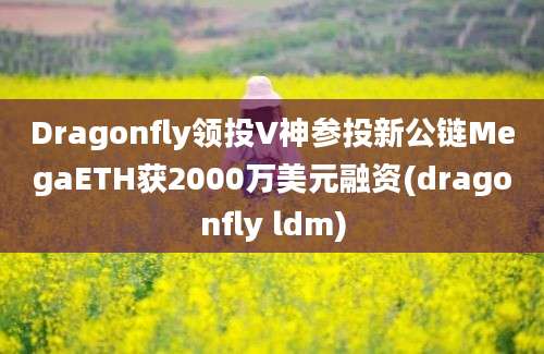 Dragonfly领投V神参投新公链MegaETH获2000万美元融资(dragonfly ldm)