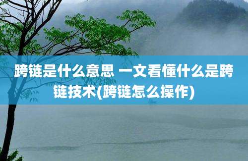 跨链是什么意思 一文看懂什么是跨链技术(跨链怎么操作)