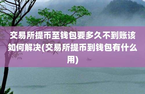 交易所提币至钱包要多久不到账该如何解决(交易所提币到钱包有什么用)