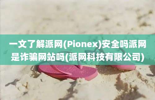 一文了解派网(Pionex)安全吗派网是诈骗网站吗(派网科技有限公司)