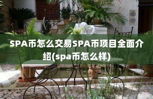 SPA币怎么交易SPA币项目全面介绍(spa币怎么样)