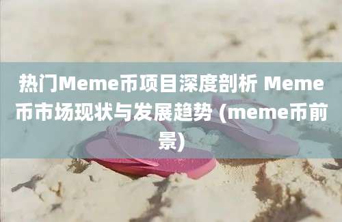 热门Meme币项目深度剖析 Meme币市场现状与发展趋势 (meme币前景)