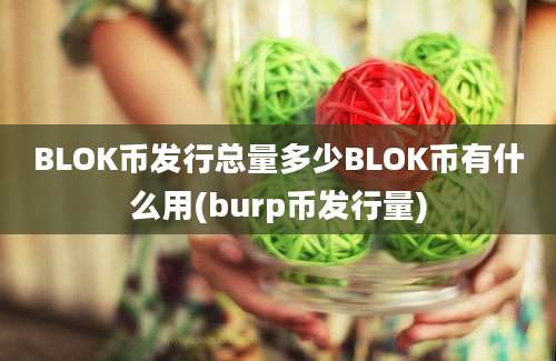 BLOK币发行总量多少BLOK币有什么用(burp币发行量)