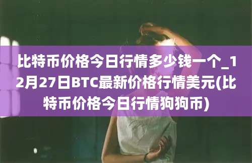 比特币价格今日行情多少钱一个_12月27日BTC最新价格行情美元(比特币价格今日行情狗狗币)