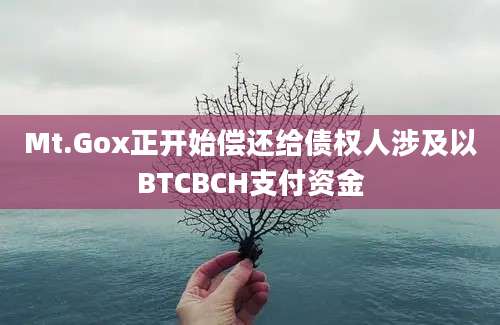 Mt.Gox正开始偿还给债权人涉及以BTCBCH支付资金