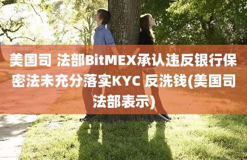 美国司 法部BitMEX承认违反银行保密法未充分落实KYC 反洗钱(美国司法部表示)