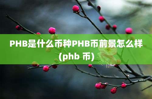 PHB是什么币种PHB币前景怎么样(phb 币)