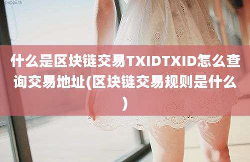 什么是区块链交易TXIDTXID怎么查询交易地址(区块链交易规则是什么)