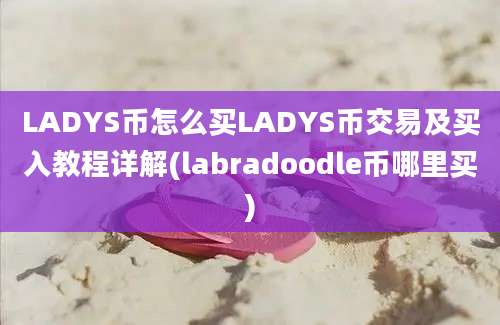 LADYS币怎么买LADYS币交易及买入教程详解(labradoodle币哪里买)