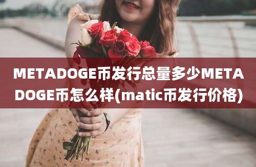 METADOGE币发行总量多少METADOGE币怎么样(matic币发行价格)