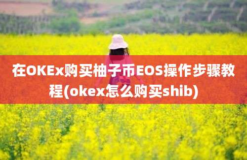 在OKEx购买柚子币EOS操作步骤教程(okex怎么购买shib)