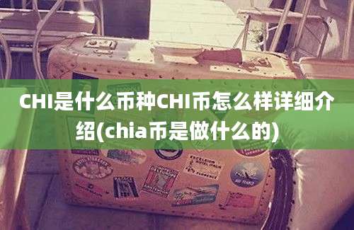 CHI是什么币种CHI币怎么样详细介绍(chia币是做什么的)