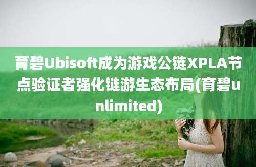 育碧Ubisoft成为游戏公链XPLA节点验证者强化链游生态布局(育碧unlimited)