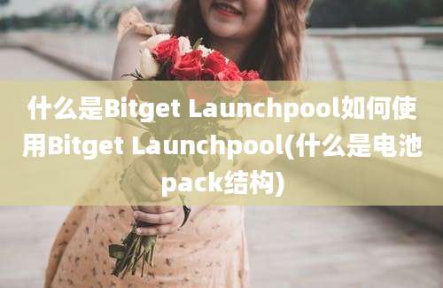 什么是Bitget Launchpool如何使用Bitget Launchpool(什么是电池pack结构)