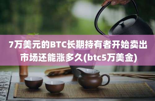 7万美元的BTC长期持有者开始卖出 市场还能涨多久(btc5万美金)