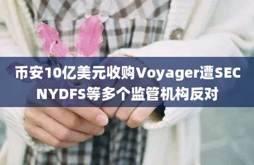 币安10亿美元收购Voyager遭SECNYDFS等多个监管机构反对