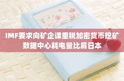 IMF要求向矿企课重税加密货币挖矿数据中心耗电量比肩日本