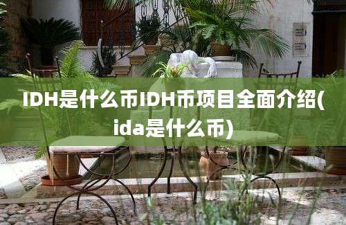 IDH是什么币IDH币项目全面介绍(ida是什么币)