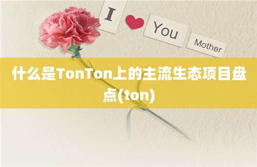 什么是TonTon上的主流生态项目盘点(ton)